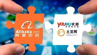 阿里大文娱集团杨伟东 优酷会员突破3000万，推动数字文化创意内容服务发展